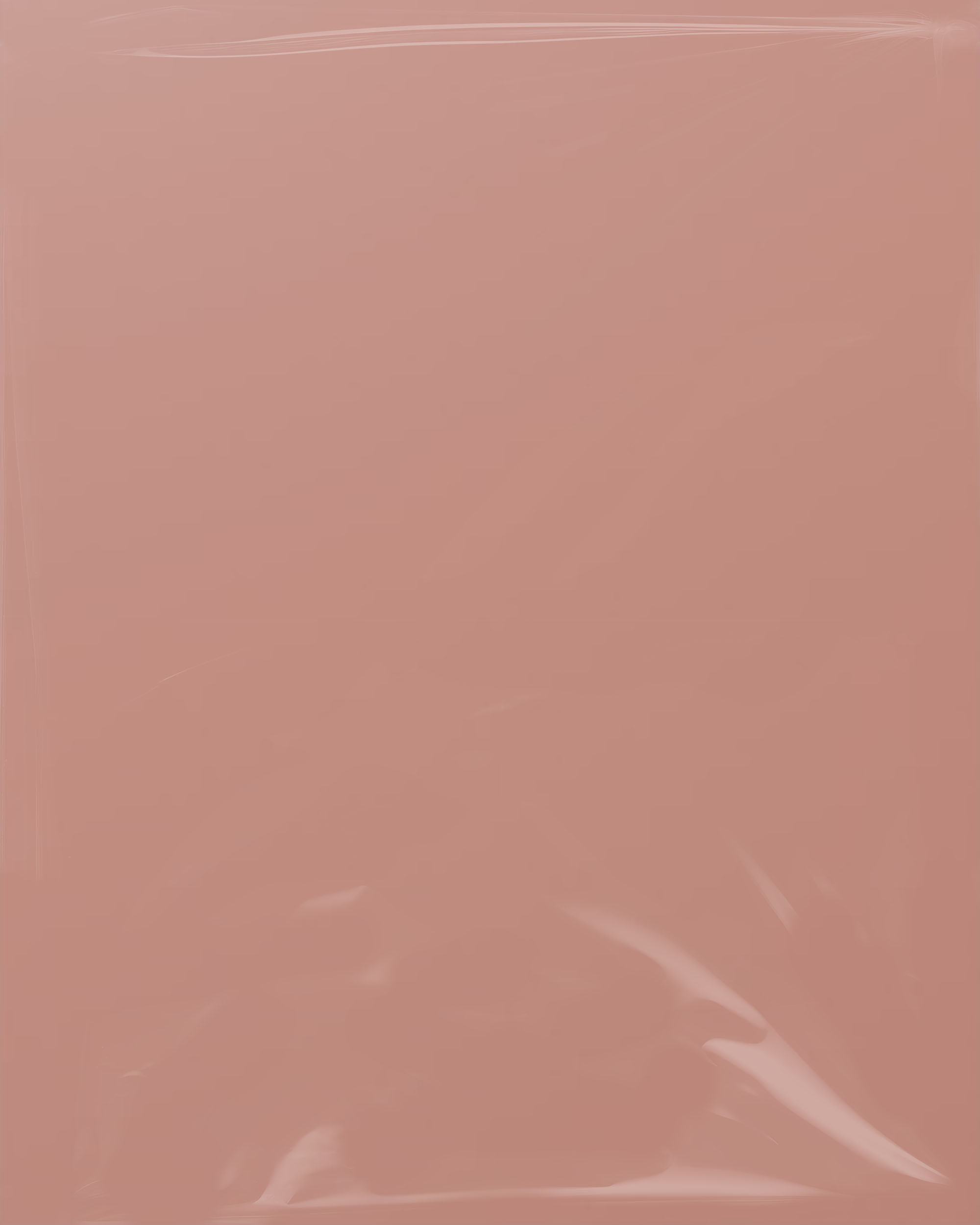 Crevette Plastic Bag